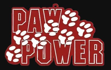 Paw Glitter Spray Homecoming Supplies Red