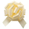 Embossed Pull Bows| Variety Of Sizes!