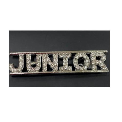 Rhinestone Mascot-Class Pins