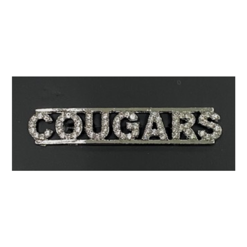 Rhinestone Mascot-Class Pins