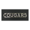Rhinestone Mascot-Class Pins