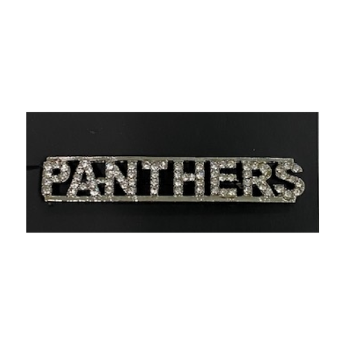 Rhinestone Mascot-Class Pins