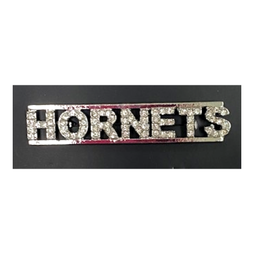 Rhinestone Mascot-Class Pins