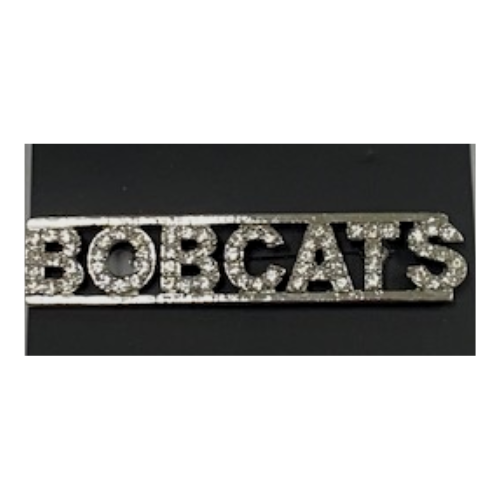Rhinestone Mascot-Class Pins