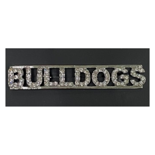 Rhinestone Mascot-Class Pins
