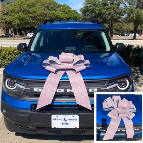 25" Reusable Magnetic Car or Special Event Bow | Great For Cars Or Large Gifts!