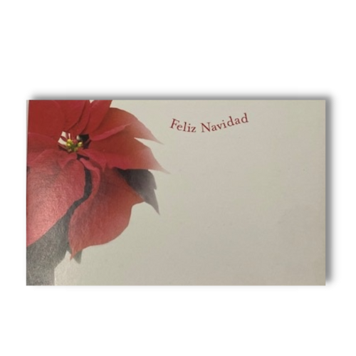 Poinsettia Feliz Navidad Recinto Tarjetas | 50 unidades | Liquidación: hasta agotar existencias