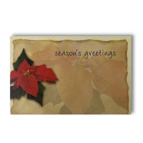 Poinsettia Season's Greetings  Enclosure Cards | 50 Count | Clearance - While Supplies Last