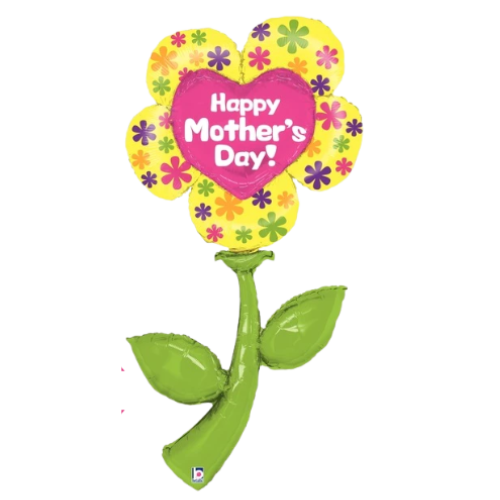 5' Fresh Picks Flor del Día de la Madre (WSL) | Liquidación: hasta agotar existencias