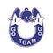 Dije de herradura Go Team Go de 2.5" x 2.75"