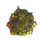4" x 3.5" Homecoming Burst Charm