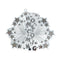 4" x 3.5" Homecoming Burst Charm