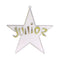 Dije de estrella de clase de 4"