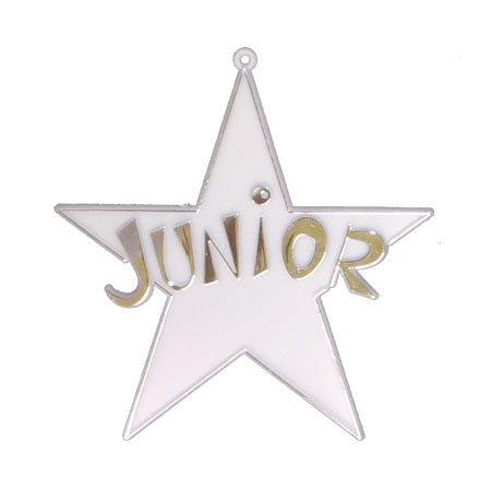 Dije de estrella de clase de 4"