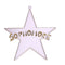Dije de estrella de clase de 4"