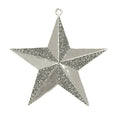 Estrella brillante 3-D de 2.5"