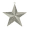 Estrella brillante 3-D de 2.5"