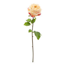21" Faux Cabbage Rose W/ Wire Stem | 1 Count