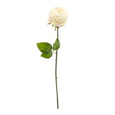 21" Faux Cabbage Rose W/ Wire Stem | 1 Count