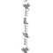 9' Western Garland