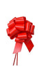 Embossed Pull Bows| Variety Of Sizes!