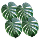 Tropical Palm Leaves