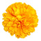 Silk Mum 5 1-2" 15 Layers