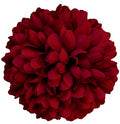 Mamá de seda 6 1-2" 15 capas