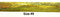 #9 Holographic Ribbon | 1 1/4" x 25 yards