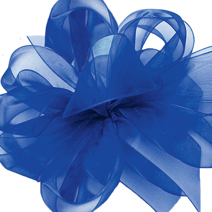 #3 Offray Simply Sheer Asiana Ribbon - 5/8" Inch Wide, 100 Yards Long | 1 Spool